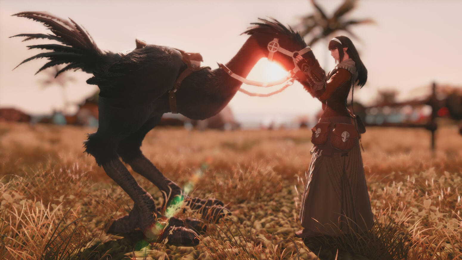 &quot;Morning Greetings&quot; by Tonsa