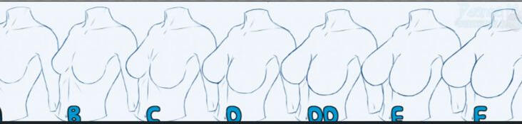 Breast Size- Between C and D, more toward D